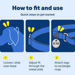 PetSafe escape prevention dog collar flat lay