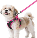 Rabbitgoo dog harness and leash set small size front view