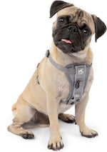 Kurgo Tru-Fit Smart Dog Walking Harness - Comfortable Fit - Adjustable Harness - Reflective Pet Wear - Quick Strap Release - Daily Walk Accessory - Includes Seat Belt Loop - Black - Large - Image 12