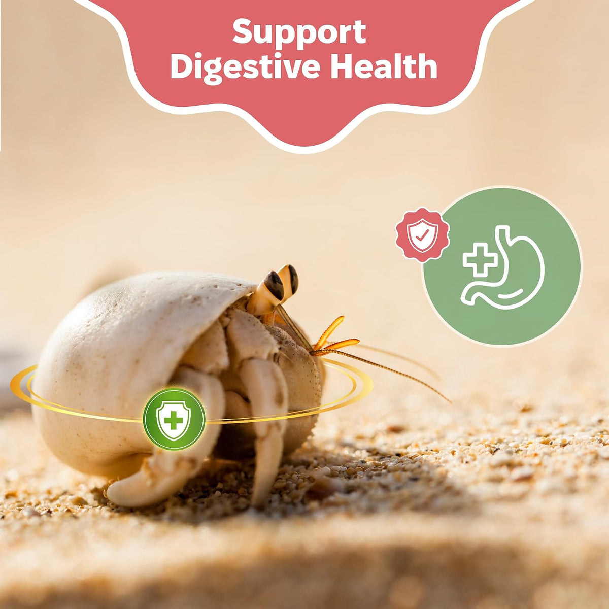 USA sourced hermit crab calcium supplement packaging