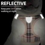 Detailed view of Pupteck harness quick release buckle