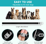 Vicsom dog flea and tick collar worn by a dog
