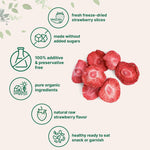 Micro Ingredients organic fruit snack nutritional information label