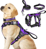 WINSEE Pet Harness Collar and Leash Set, All-in-one Reflective Dog Harness No Pull with Adjustable Buckles for Puppies, Small, Medium, Large, and Extra-Large Dogs (Large, Pink) - Image 13