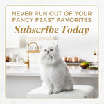Purina Fancy Feast Gems Pate Mousse with Gravy Wet Cat Food with Ocean Fish - 4 oz. (Pack of 8) - Image 10