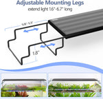 Hygger programmable fish tank lamp cycling through different vibrant color spectrum choices inside a freshwater aquarium.