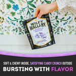 Authentic USA imported Wiley Wallaby licorice candy beans