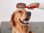 Tuff Pupper grooming brush for all coat types
