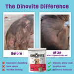 Dinovite anti itch and hot spot relief powder for large dogs showing product measurements.
