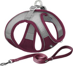 Medium Dog Harness and Leash Set, Step-in Puppy Pet Vest, Blue XL | Breathable Mesh, Adjustable Fit, Reflective Design, Padded Leash Handle, for Small-Medium Dogs & Cats, Walking, Training - Image 15