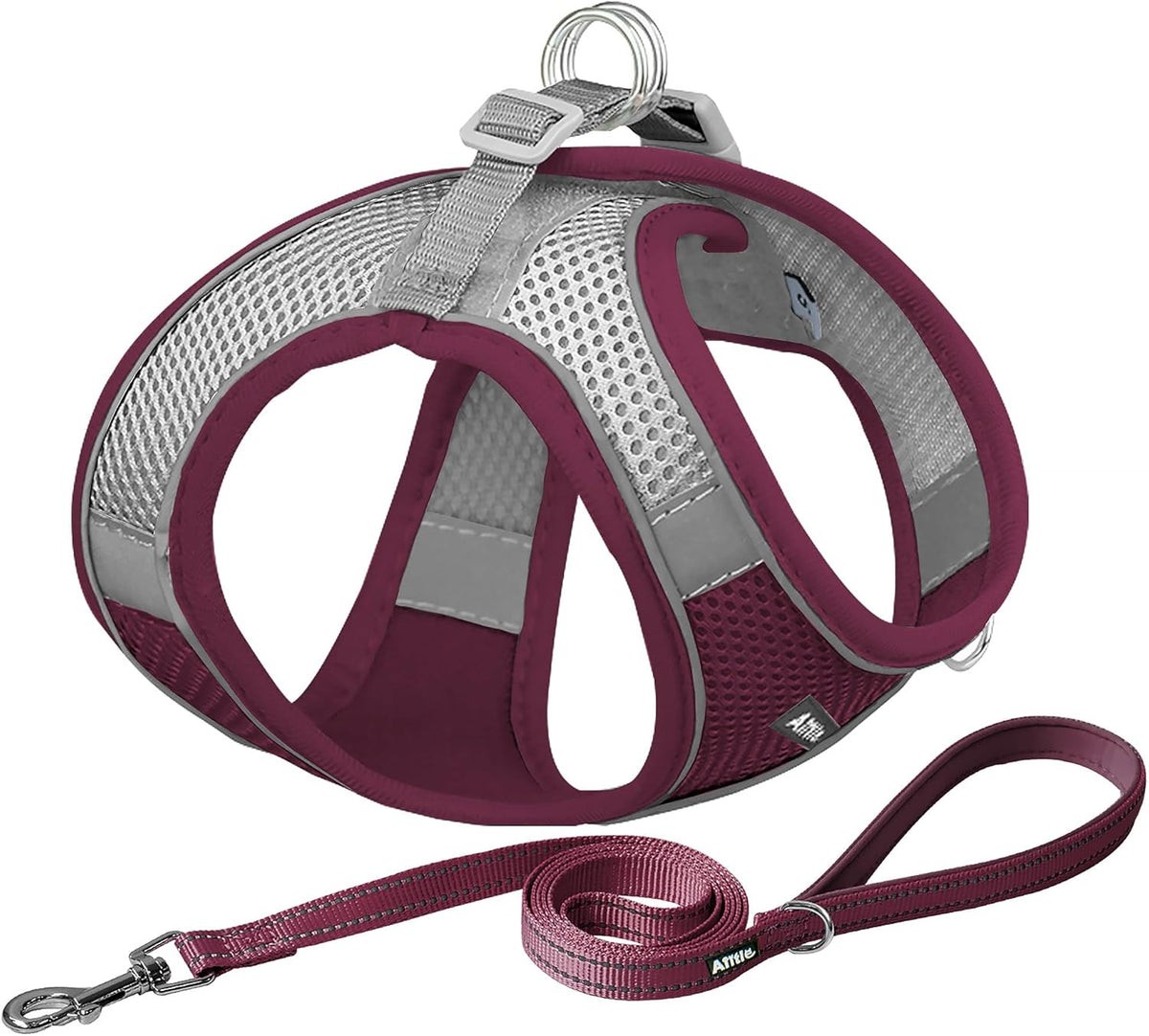 Medium Dog Harness and Leash Set, Step-in Puppy Pet Vest, Blue XL | Breathable Mesh, Adjustable Fit, Reflective Design, Padded Leash Handle, for Small-Medium Dogs & Cats, Walking, Training - Image 15