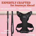 Rabbitgoo lightweight mesh cat harness back view with reinforced metal clip.