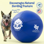 Durable nylon cover detail of Race and Herd herding ball