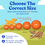 Doggie Dooley durable ball floating in water