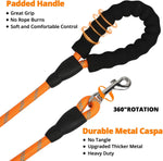 Jenico 5FT dog lead being used for outdoor walking