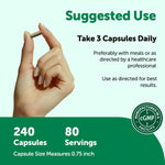 Micro Ingredients Rhodiola Rosea vegetarian capsules in hand