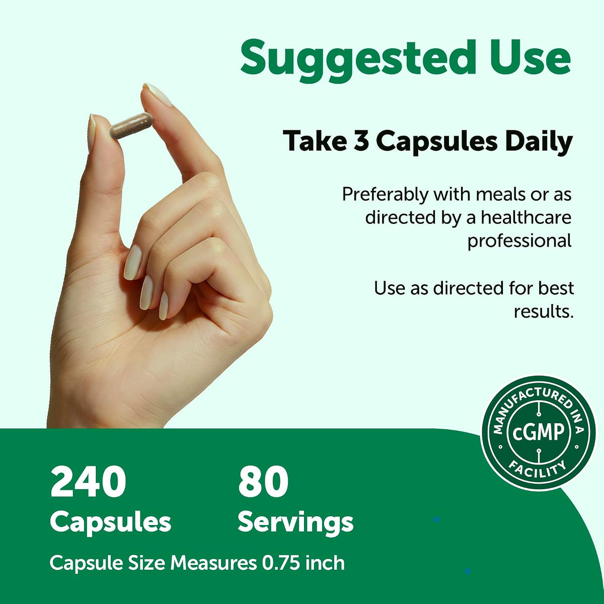 Micro Ingredients Rhodiola Rosea vegetarian capsules in hand