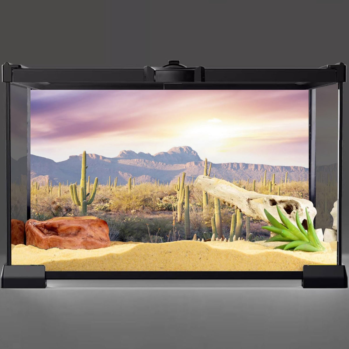 AWERT desert cactus terrarium background mounted on a forty-eight by eighteen inch reptile enclosure