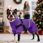 Small dog wearing purple BRKURLEG winter coat
