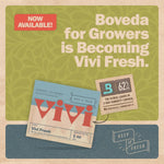 Boveda size 67 four pack packaging details