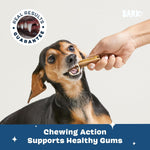 Barkbox Bright dental kit packaging showing 30 count
