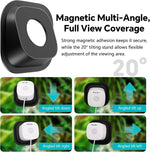 SnapBud pet monitor starlight night vision mode demonstration showing vibrant low-light colors inside a dark terrarium.
