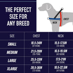 Leash Boss dog harness showing rear bungee attachment