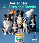 Pup Labs ear treatment dropper bottle isolated on white