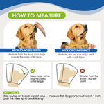 Adjustable buckle detail on letsqk blue dog e-collar