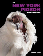 The New York Pigeon - Image 1