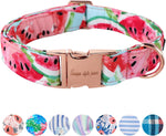 Unique Style Paws Watermelon Dog Collar Metal Buckle front view