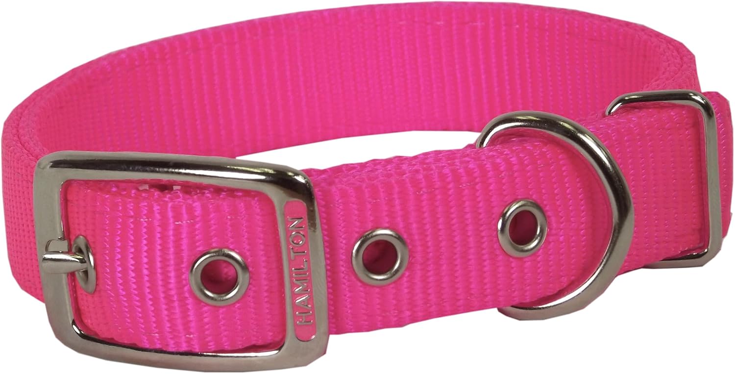 Hamilton heavy duty nylon dog collar front view