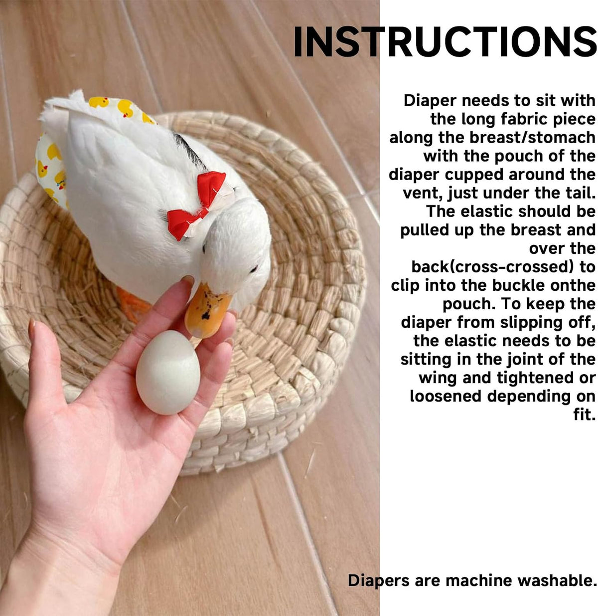 QBLEEV medium poultry diaper adjustable buckle close up