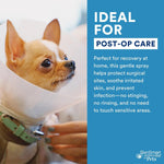 SkinSmart Antimicrobial Wound Care for Pets, Hypochlorous Acid Removes Bacteria to Promote Healing and Relieves Itch, Safe if Licked, 8 Ounce Spray Bottle - Image 9