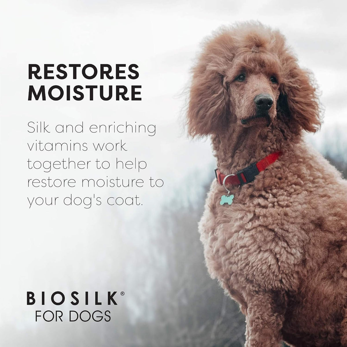 BioSilk silk therapy pet conditioning spray 7 fluid ounce bottle back label