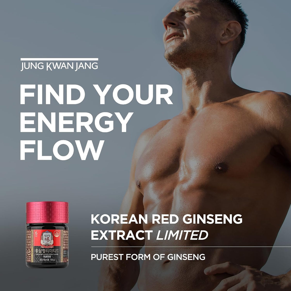 Premium 6-year-old Panax ginseng extract paste showing authentic black label and gold accents