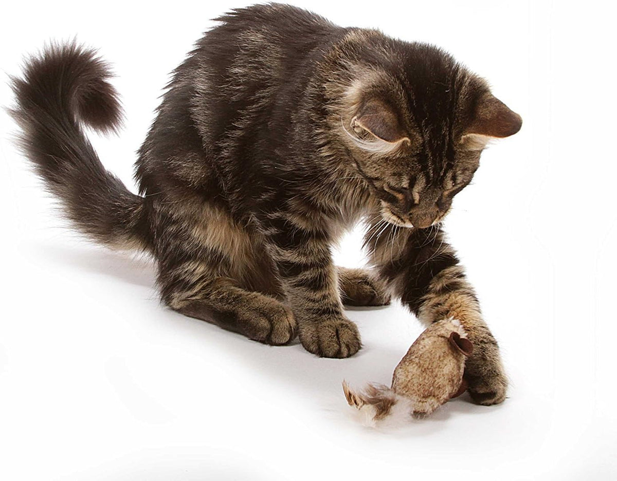 Interactive squeaking cat mouse toy set showcasing the five inch size profile perfect for indoor chasing.