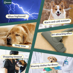 Papiamen imported pet anxiety wrap being applied to a medium dog
