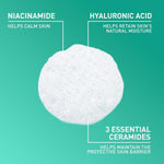 Back label view of imported CeraVe foaming cleanser showing 19 fluid ounce details