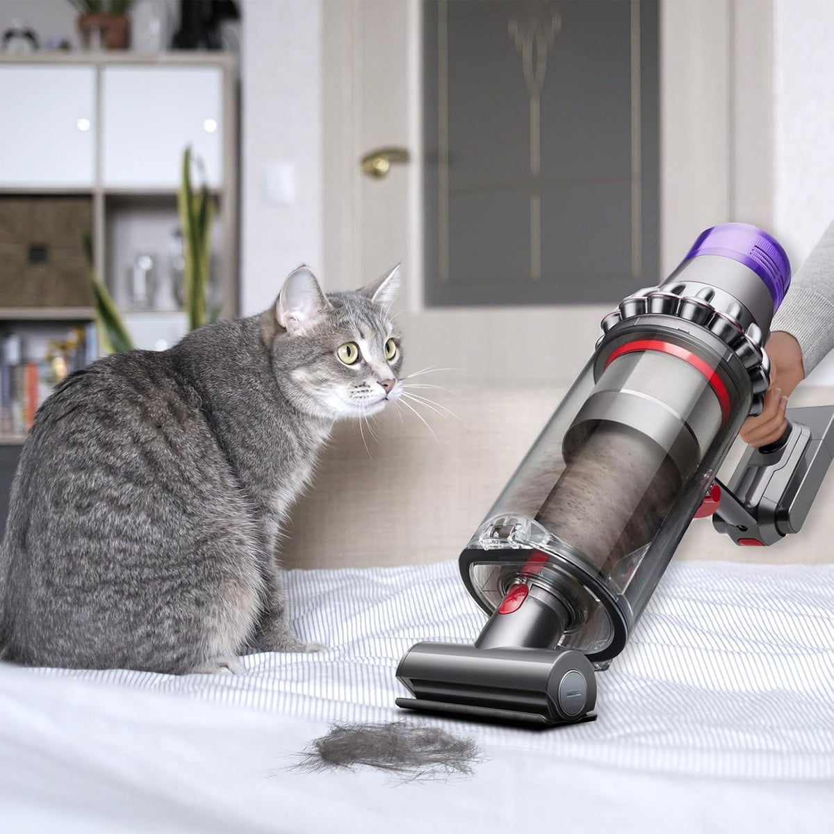 Zephblow vacuum attachment packaging and contents display