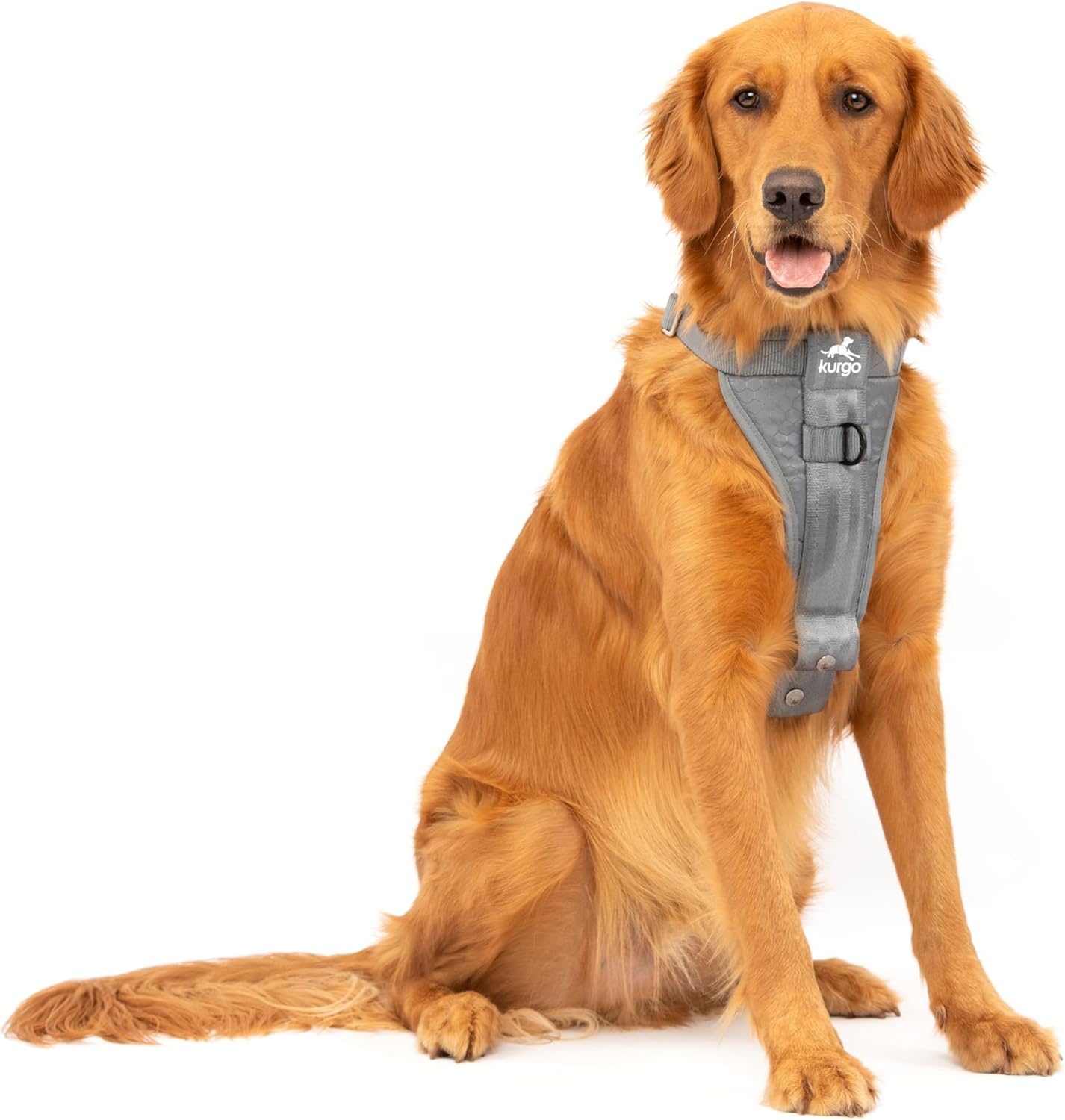 Kurgo Enhanced Strength Tru-Fit Dog Car Harness front view on dog