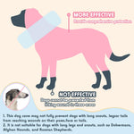 Anti licking dog surgery recovery collar with secure loops