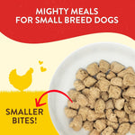 Close up of Stella and Chewy's raw freeze-dried dog food morsels