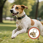 Group of Styquenzer brass bells for cat and dog training