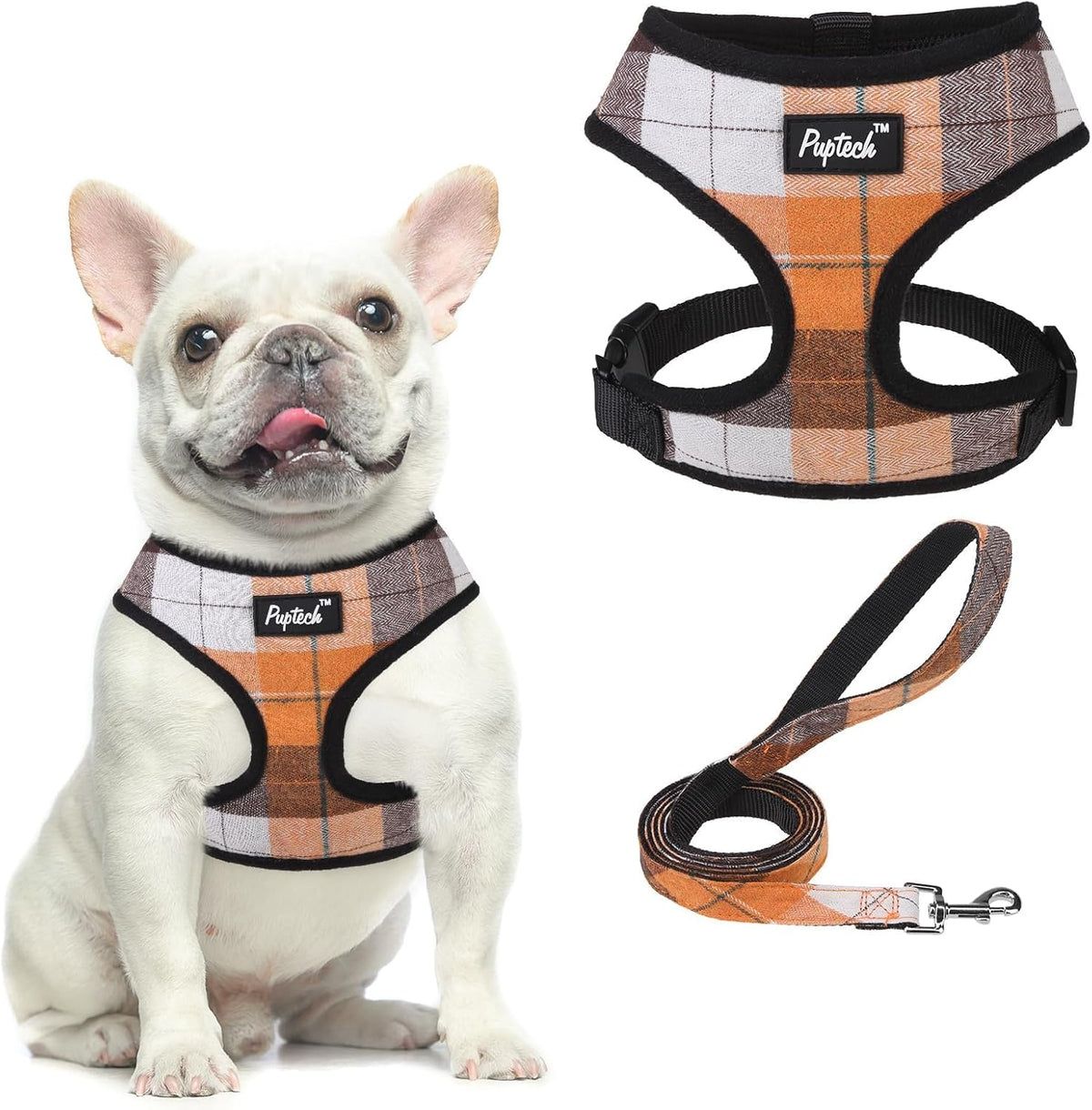 PUPTECK matching nylon leash and harness combo
