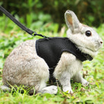 Pettom bunny rabbit harness and leash front view black
