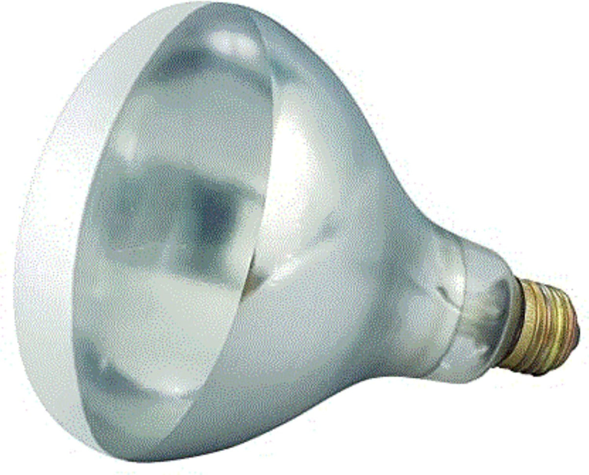 Winco heat lamp bulb front view commercial replacement