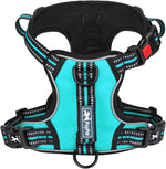 PoyPet No Pull Dog Harness with 3 Leash Clips and Vertical Handle | No Choke, Reflective, Adjustable, Soft Padded, Dog Vest for Medium Dogs, Walking Training, Black, M - Image 11