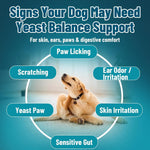 VICSOM natural dog allergy relief treats close up view of chicken flavor soft chews