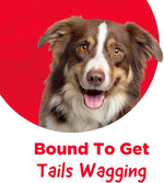 Country Kitchen dog treat packaging back view with ingredient list